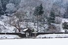 福井の冬