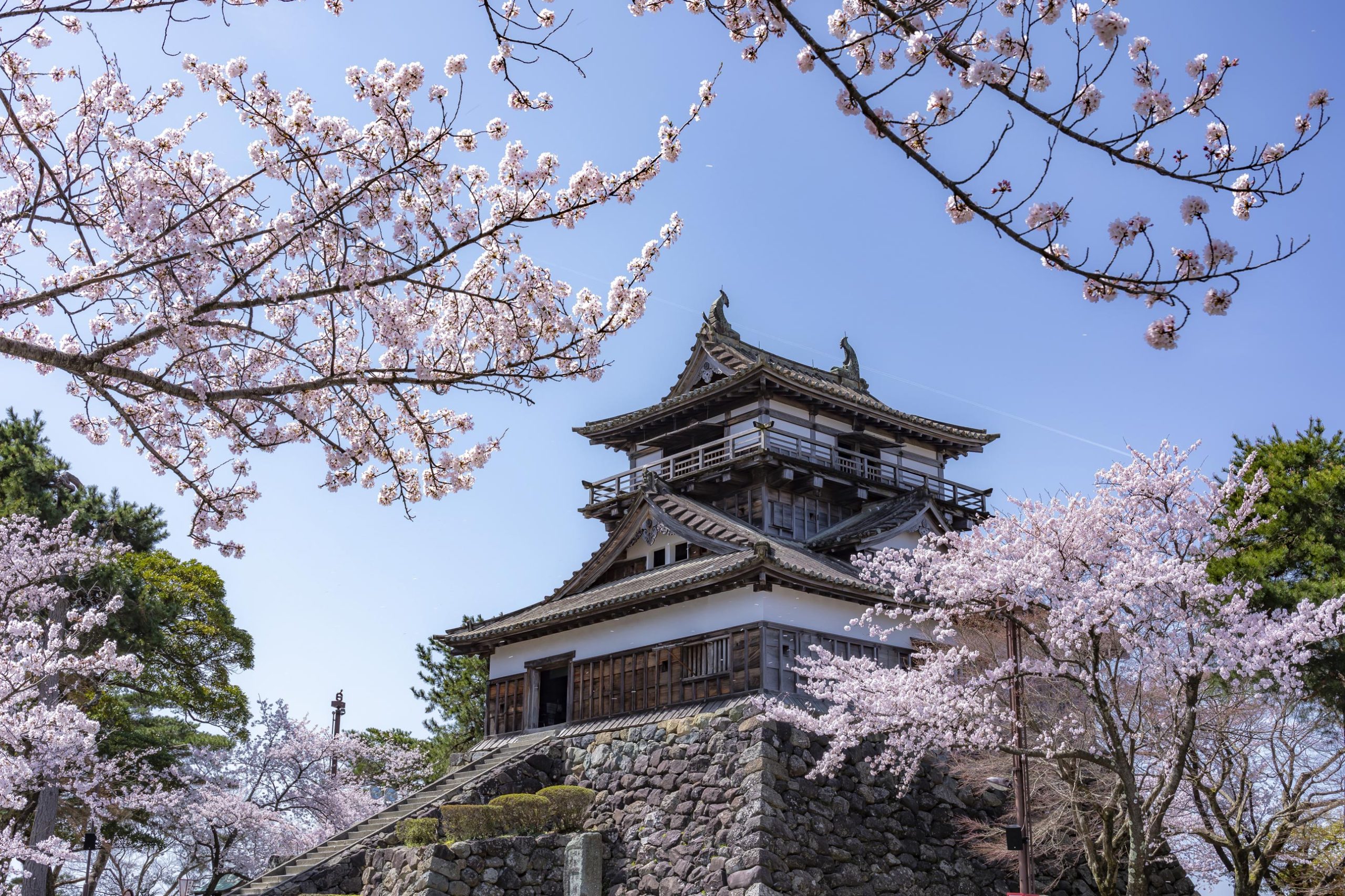 丸岡城 サムネイル