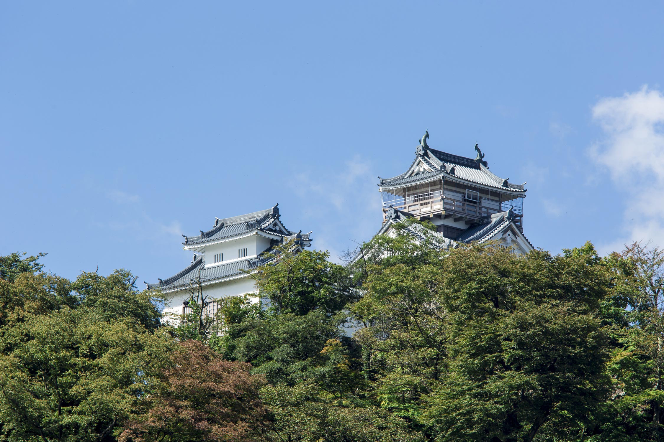 越前大野城 サムネイル